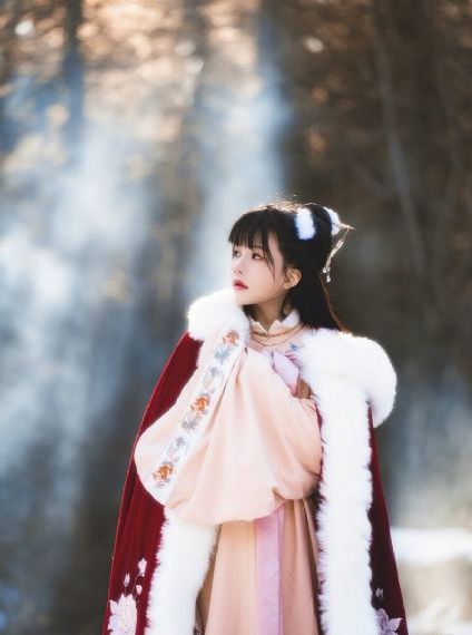家有儿女1电视剧免费版_1080全集在线观看